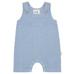 Ticking Dungarees